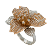 ANILLOS